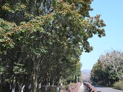 -游子山休闲旅游区