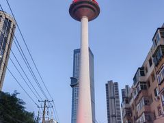 -辽宁电视塔