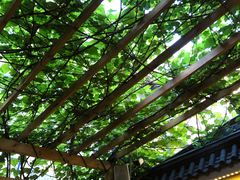 -砂唐居(总店)