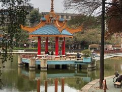-金砂公园