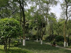 -龙头寺公园