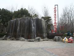 -合肥滨湖国家森林公园