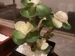-白天鹅宾馆·月兔吧