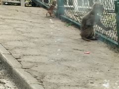 -北京鹿世界主题园