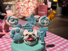 -百好乐宠物友好餐厅(朝外大街店)