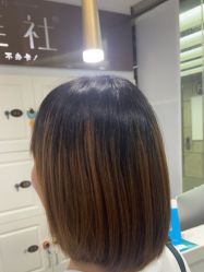 -镁连社·美联社