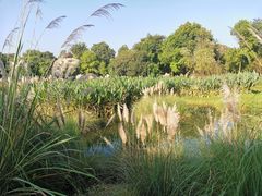 -成都中医药大学(温江校区)