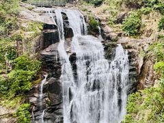 -海南热带雨林国家公园吊罗山景区