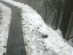 -东天目山风景区