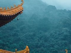 -深圳仙湖植物园