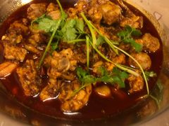 -绝城芋儿鸡(犀浦旗舰店)