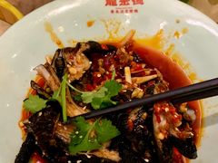 -龙聚德北京烤鸭(沙坪坝华宇A馆店)