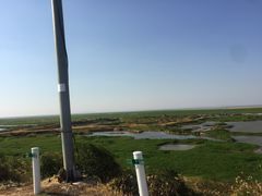 -鄱阳湖国家湿地公园