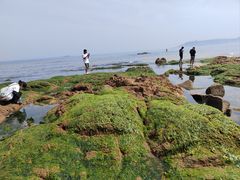 -青岛第三海水浴场