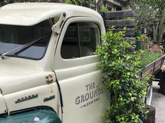 -The Grounds of Alexandria