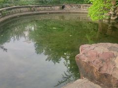 -嘉定紫藤园