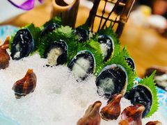 -尚海豆捞(乐虹坊店)