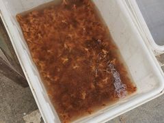 -中环花鸟鱼虫市场