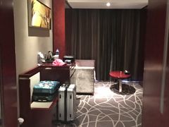 -常州环球恐龙城维景国际大酒店