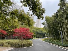 -苏州河梦清园环保主题公园