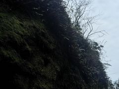 -玻璃桥景区石牛寨