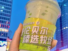 -茉酸奶(春熙路店)