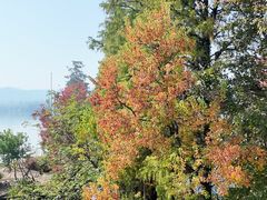 -东湖落雁景区