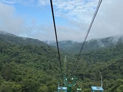 -野象谷景区