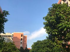 -泽凡糖水(北京理工大学珠海店)