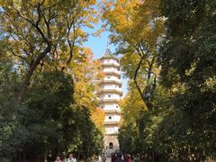 -灵谷景区