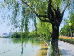 -天鹅湖体育公园