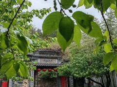 -老张烤羊(王哥庄店)