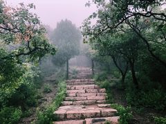 -北京西山国家森林公园