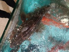 -御同亨酒楼·喜宴