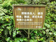 -西岭雪山大飞水景区