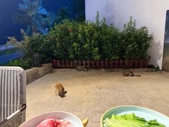 -雾山韩式烤肉·海南糟粕&椰子鸡火锅·海景餐厅(三亚绿发山海天JW万豪酒店)