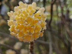 -洨河生态公园