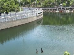 -沂蒙山旅游区云蒙景区(蒙山国家森林公园)