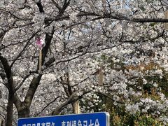 -堤角公园