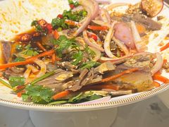 -马白开来特色羊排揪片子  (总店)