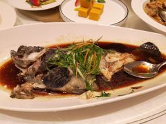 清蒸鱼-京香轩·中餐厅(上海中庚聚龙酒店)