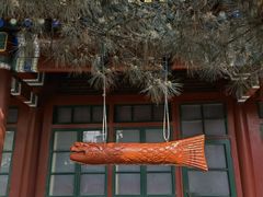-白云观