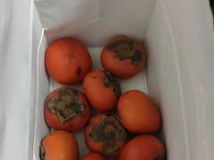 -萤火虫咖啡(砖著店)