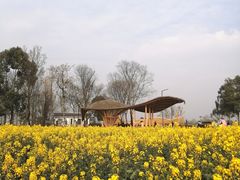 -中国天府农业博览园