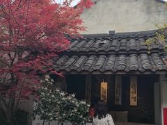 -古今茶语·峨眉山有机茶体验馆