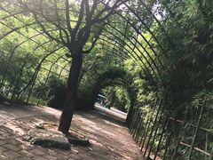 -东海大峡谷