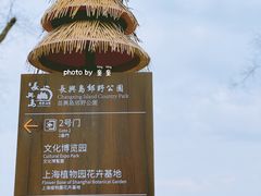 -上海长兴岛郊野公园