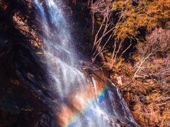 -少华山国家森林公园