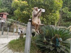 -黔灵山公园