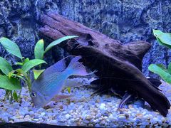 -上海海洋水族馆